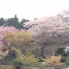 20140429_175948_3.jpeg