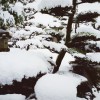 CYMERA_20150101_091202.jpg